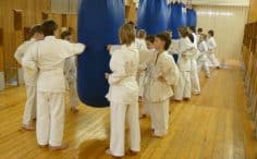2017/01/emaitis-mazeikiu-karate-klubas-6-236x146.jpg
